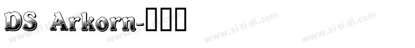 DS Arkorn字体转换